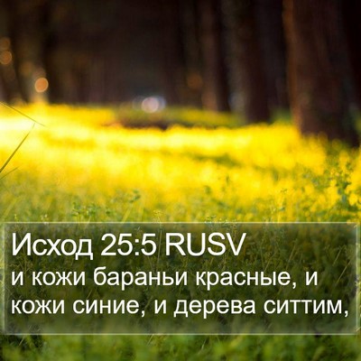Исход 25:5 RUSV Bible Verse Image