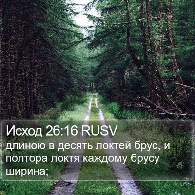 Исход 26:16 RUSV Bible Verse Image