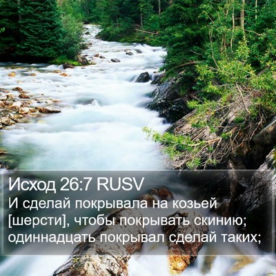 Исход 26:7 RUSV Bible Verse Image