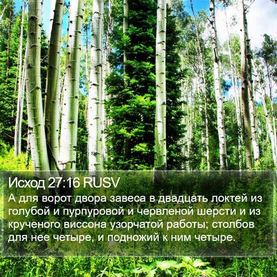 Исход 27:16 RUSV Bible Verse Image
