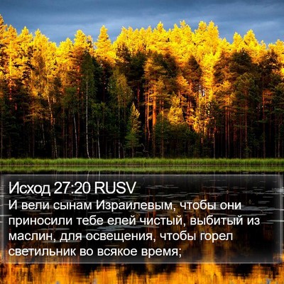 Исход 27:20 RUSV Bible Verse Image