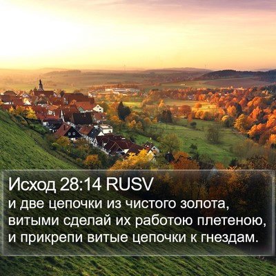 Исход 28:14 RUSV Bible Verse Image