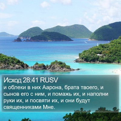 Исход 28:41 RUSV Bible Verse Image