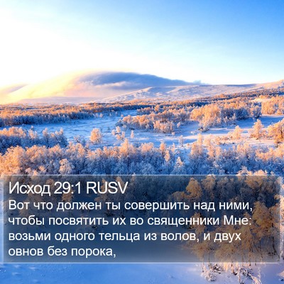 Исход 29:1 RUSV Bible Verse Image