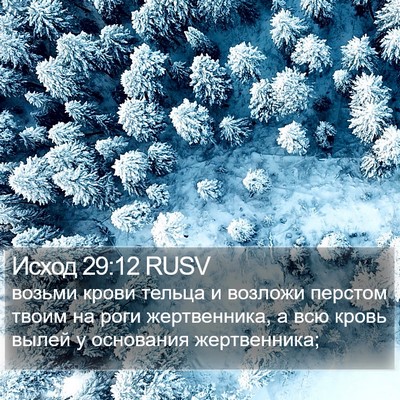 Исход 29:12 RUSV Bible Verse Image