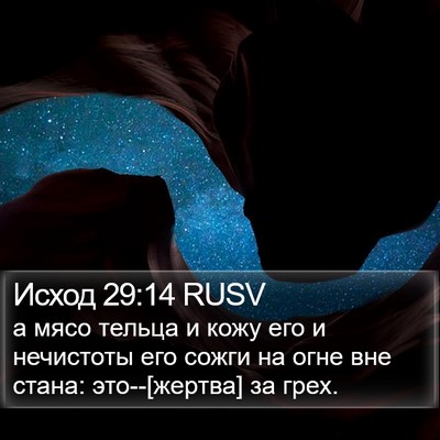 Исход 29:14 RUSV Bible Verse Image