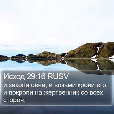 Исход 29:16 RUSV Bible Verse Image