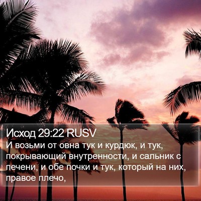 Исход 29:22 RUSV Bible Verse Image