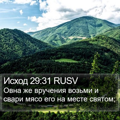 Исход 29:31 RUSV Bible Verse Image