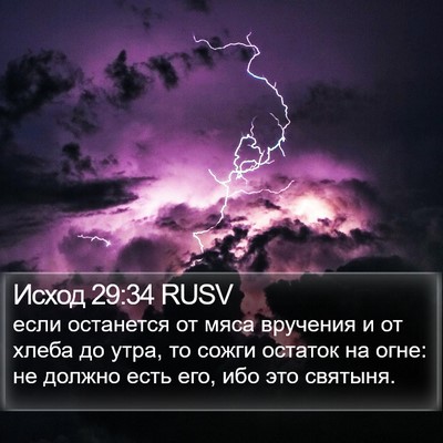 Исход 29:34 RUSV Bible Verse Image