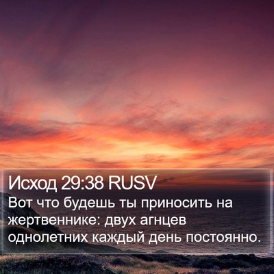 Исход 29:38 RUSV Bible Verse Image