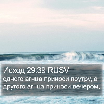 Исход 29:39 RUSV Bible Verse Image