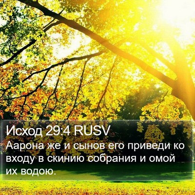 Исход 29:4 RUSV Bible Verse Image