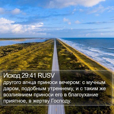 Исход 29:41 RUSV Bible Verse Image