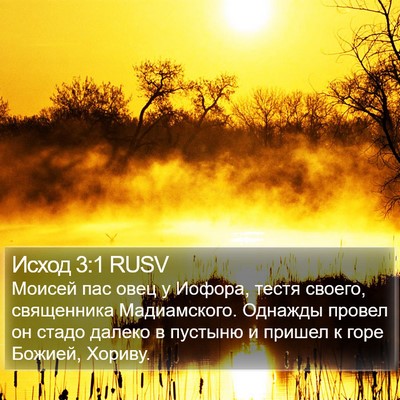 Исход 3:1 RUSV Bible Verse Image