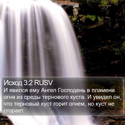 Исход 3:2 RUSV Bible Verse Image