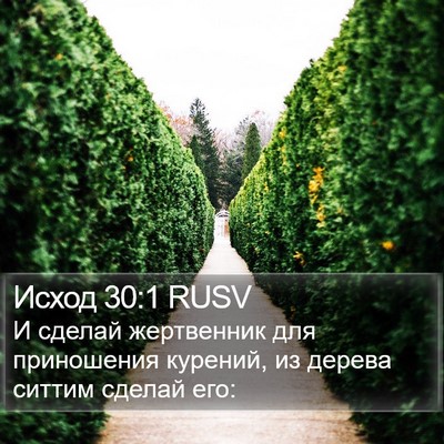 Исход 30:1 RUSV Bible Verse Image