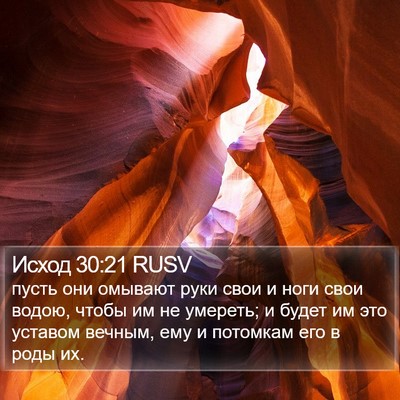 Исход 30:21 RUSV Bible Verse Image
