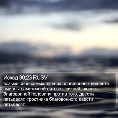 Исход 30:23 RUSV Bible Verse Image
