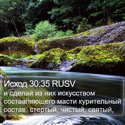 Исход 30:35 RUSV Bible Verse Image