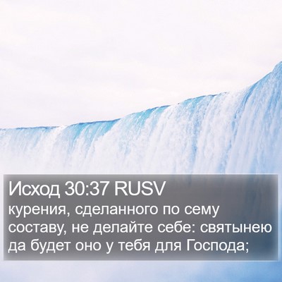 Исход 30:37 RUSV Bible Verse Image