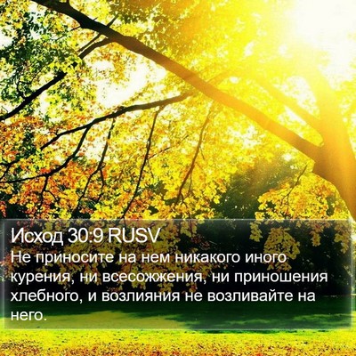 Исход 30:9 RUSV Bible Verse Image