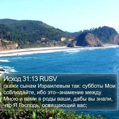 Исход 31:13 RUSV Bible Verse Image