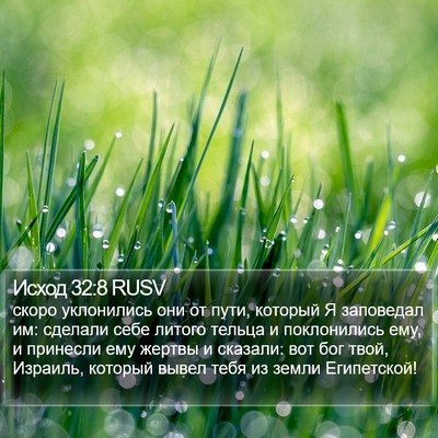 Исход 32:8 RUSV Bible Verse Image