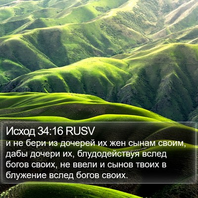Исход 34:16 RUSV Bible Verse Image