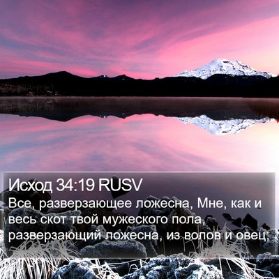 Исход 34:19 RUSV Bible Verse Image
