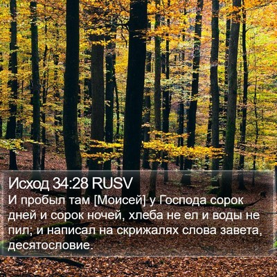 Исход 34:28 RUSV Bible Verse Image