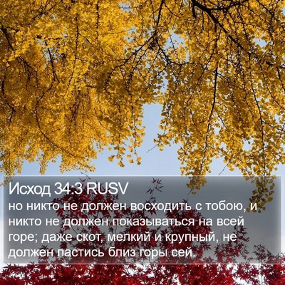 Исход 34:3 RUSV Bible Verse Image