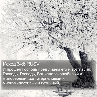 Исход 34:6 RUSV Bible Verse Image