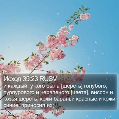 Исход 35:23 RUSV Bible Verse Image