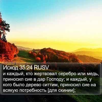 Исход 35:24 RUSV Bible Verse Image