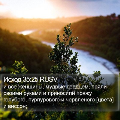 Исход 35:25 RUSV Bible Verse Image
