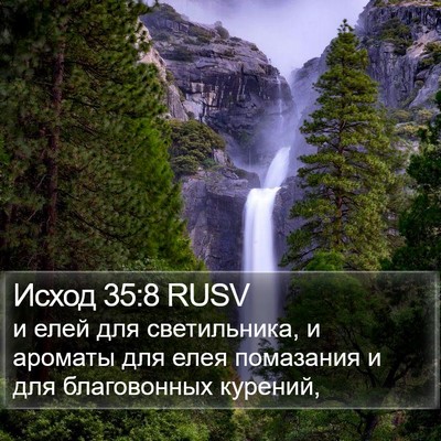 Исход 35:8 RUSV Bible Verse Image