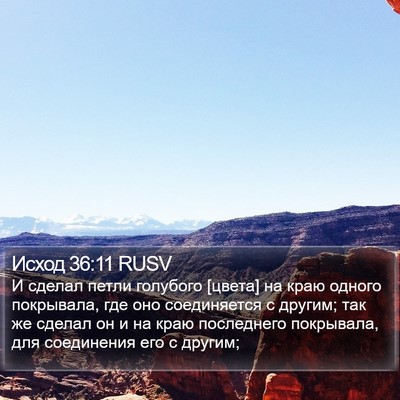 Исход 36:11 RUSV Bible Verse Image
