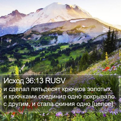 Исход 36:13 RUSV Bible Verse Image