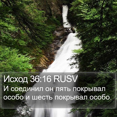 Исход 36:16 RUSV Bible Verse Image