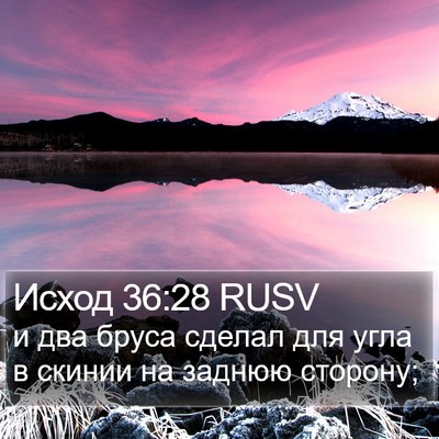 Исход 36:28 RUSV Bible Verse Image