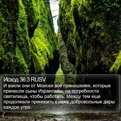 Исход 36:3 RUSV Bible Verse Image