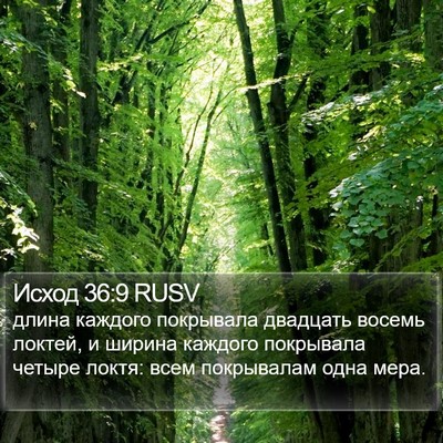Исход 36:9 RUSV Bible Verse Image