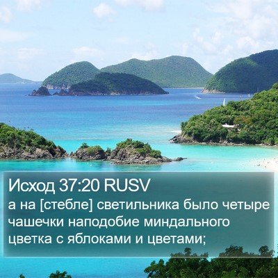 Исход 37:20 RUSV Bible Verse Image