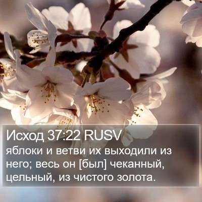 Исход 37:22 RUSV Bible Verse Image