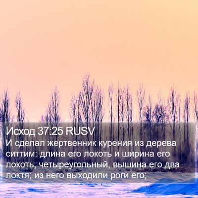 Исход 37:25 RUSV Bible Verse Image