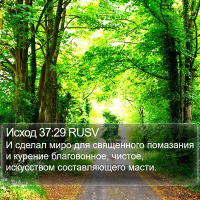 Исход 37:29 RUSV Bible Verse Image