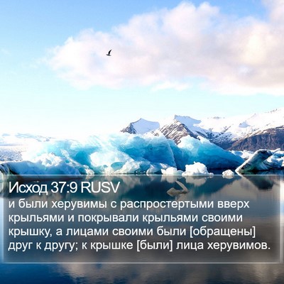 Исход 37:9 RUSV Bible Verse Image