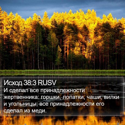 Исход 38:3 RUSV Bible Verse Image