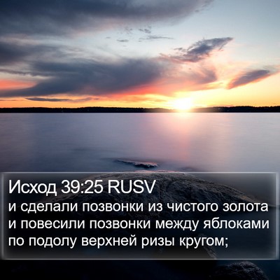 Исход 39:25 RUSV Bible Verse Image